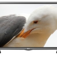 Телевизор LG 49LF510V