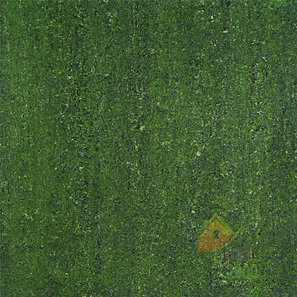 Керамогранит VIVACER PW60485V