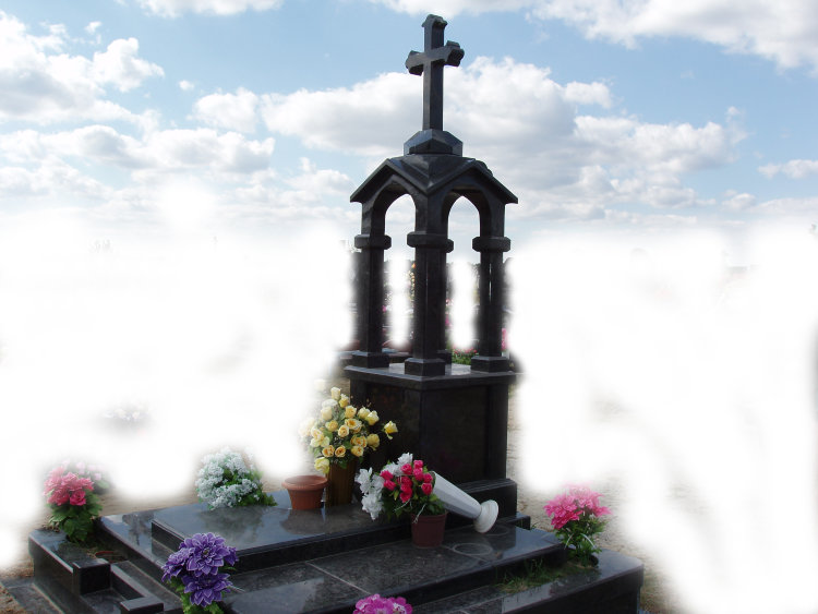 00035Гранитный памятник00035