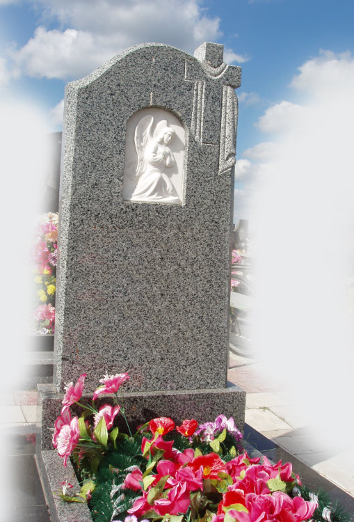 00049Гранитный памятник00049