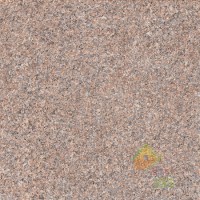 плитка Zeus Ceramica ZWXAY2