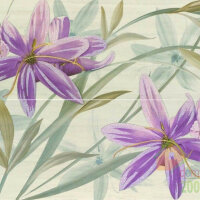 декор BALDOCERD?COR 2 SET EMPIRE NEUTRO 560X850